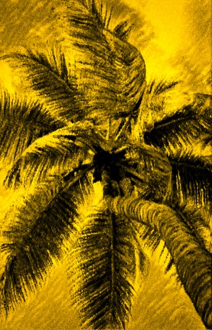 Palm Gold